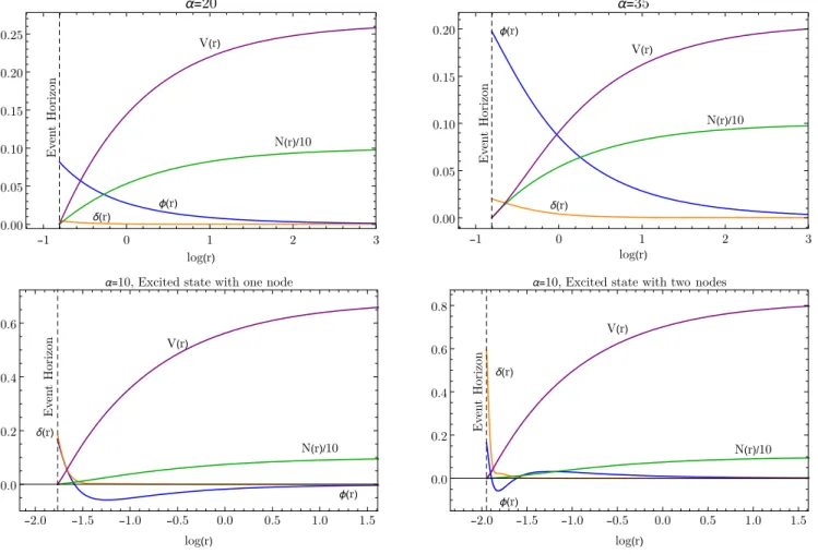 TABLE III. Properties of illustrative scalarized BHs in the power-law coupling model.