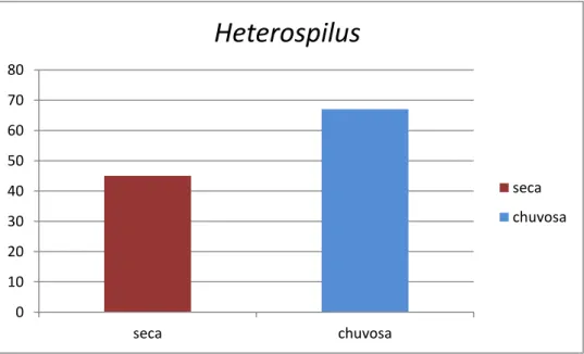 Fig 8. Abundância de Heterospilus coletados por armadilhas de Moericke no período seco e chuvoso na                         Estação Ecológica de Itirapina, Brotas, SP.
