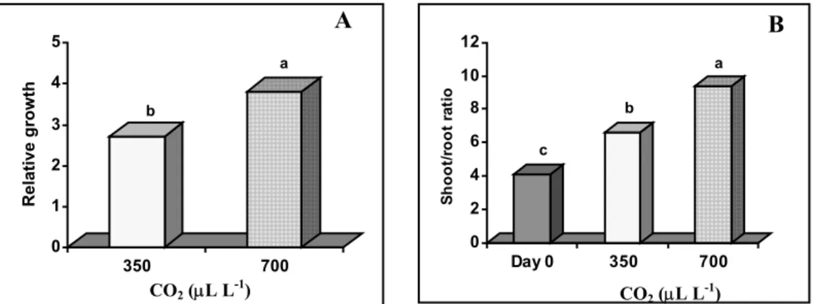 Fig. 1. Effects of CO 2  concentration during acclimatization of in vitro-regenerated  chestnut plants on relative growth (A) and shoot/root ratio (B)