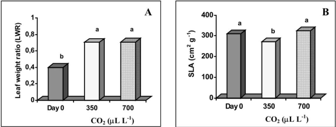 Fig. 4. Effects of CO 2  concentration during acclimatization of in vitro-regenerated  chestnut plants on leaf weight ratio (LWR) (A) and specific leaf area (SLA) (B)