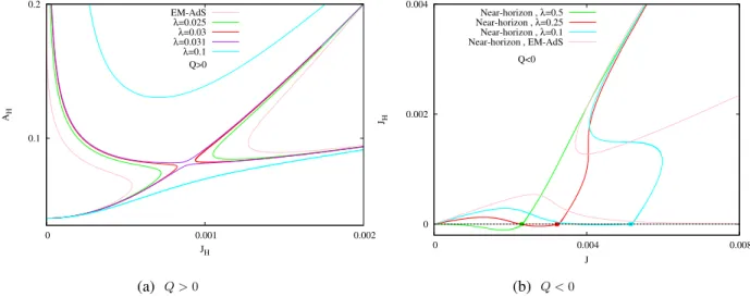 FIG. 1. (a) Area vs horizon angular momentum J H for near-horizon solutions with fixed positive electric charge Q ¼ 0 