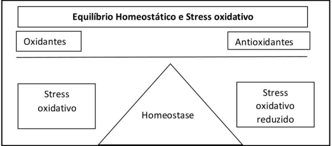 Figura 2 – Relação entre oxidantes e antioxidantes no equilíbrio  homeostático  (Adaptado de Powers et al., 2004).