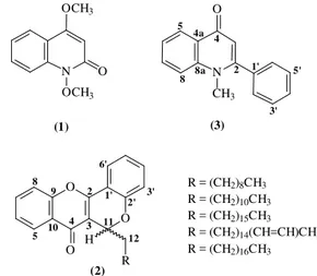 Figura 1. Substâncias obtidas de Conchocarpus heterophyllus