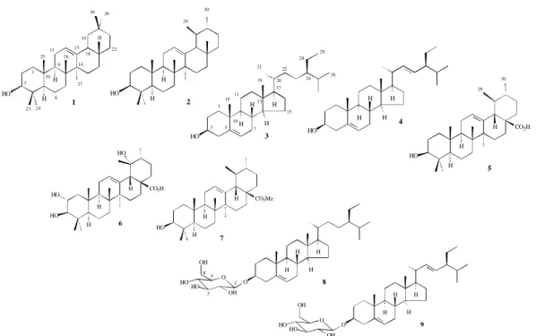 Figura 1. Estruturas químicas dos fitoconstituintes isolados de P. radicans