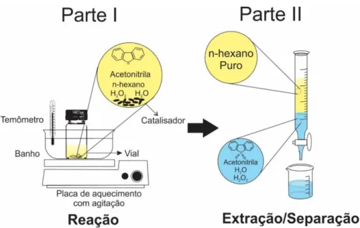 Figura 6.3 - Desenho esquemático representando o sistema experimental criado  para a reação de ODS.