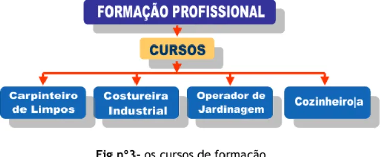 Fig nº3- os cursos de formação 