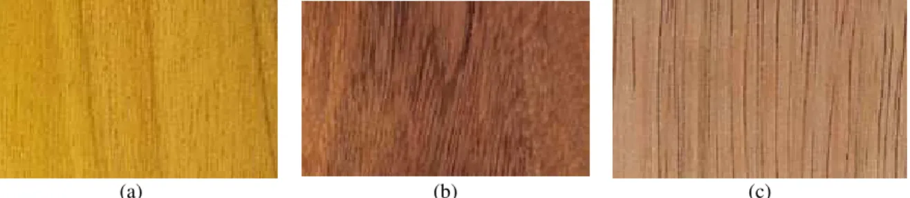 Figura 1. Exemplos de cores da madeira: (a) amarelada de Vinhático (Plathymenia foliolosa  Benth.); (b) castanho de Fava-orelha-de-negro (Enterolobium schomburgkii (Benth.) Benth.); 