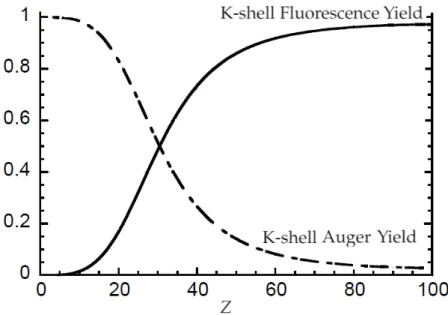 Figure 2.4: K-shell and Auger yields as function of atomic number.