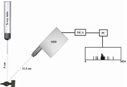 Figure 3.1: Schematic of EDXRF planar geometry setup. Figure adopted from [53].