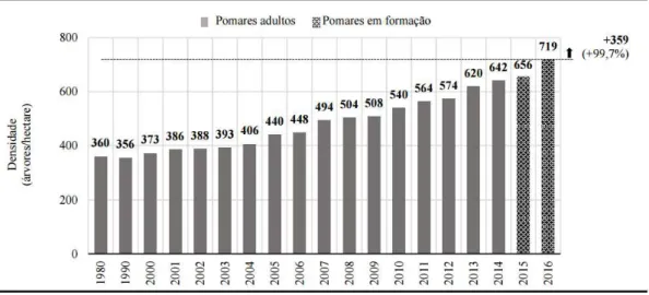 Gráfico 3. Densidade média de pomares por ano de plantio. 