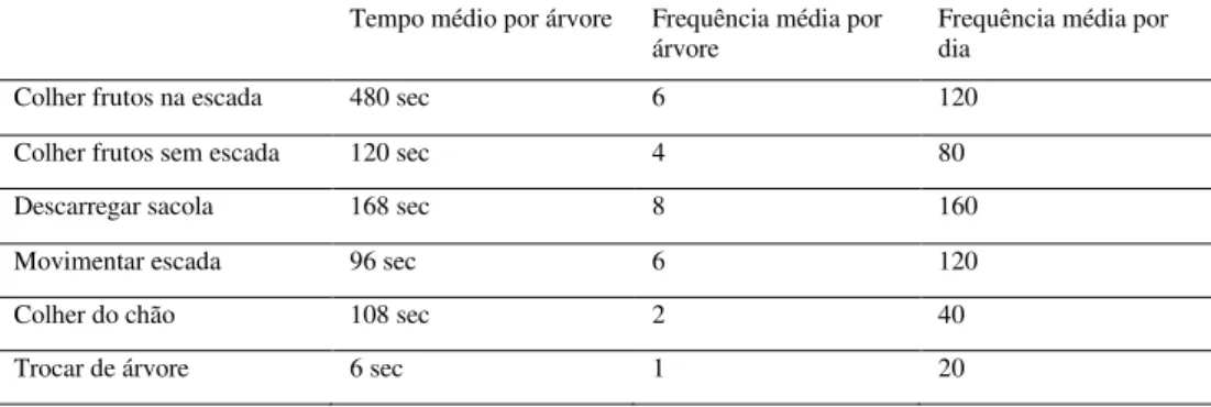 Tabela 2. Duração e Frequência dos ciclos observados da colheita manual, com uso de sacola