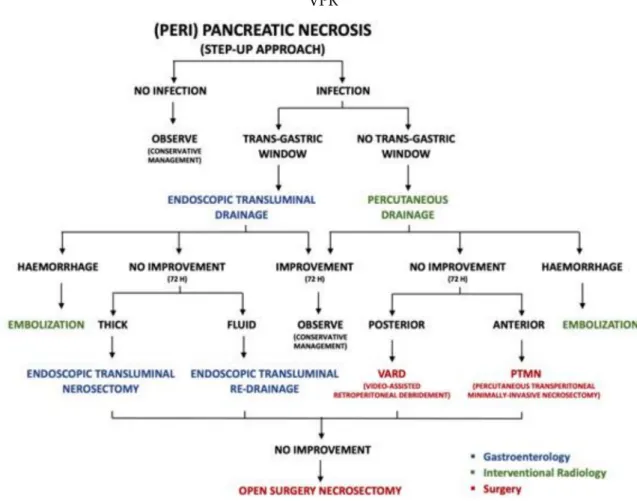 Figure 2. Pathways of management of complicated acute pancreatitis. Types of interventions are differentiated by colors: Surgery in red, gastroenterology in blue, interventional radiology in green.