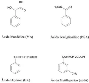 Figura 1. Estrutura química dos quatro metabólitos que são referentes aos  solventes orgânicos: estireno (MA e PGA), etilbenzeno (MA), tolueno (HA)  e xileno (3mHA)