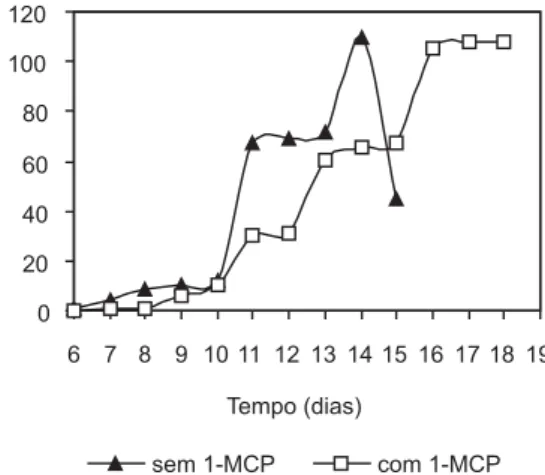 Figura 2. Concentração do éster acetato de isoamila (µg kg -1  de polpa) durante  o amadurecimento de bananas ‘Prata’ com e sem tratamento com o 1-MCP