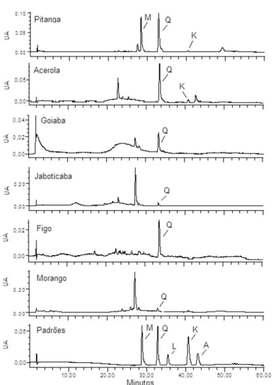 Figura 1S. Cromatogramas típicos dos flavonóides agliconas de extratos hidrolisados de pitanga, acerola, goiaba, jaboticaba, figo, morango e dos padrões,   obtido com coluna Symmetry C18 (2,1 x 150 mm, 3,5 µm)