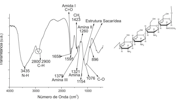 Figura 2S. Espectro de IV típico da quitosana (GD=75,6%) e estrutura química da quitosana parcialmente desacetilada