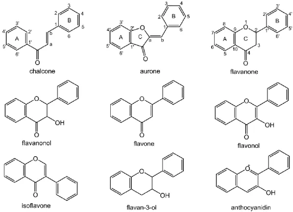 Figure 21: Backbone structures of the flavonoid subclasses commonly found in the plant kingdom