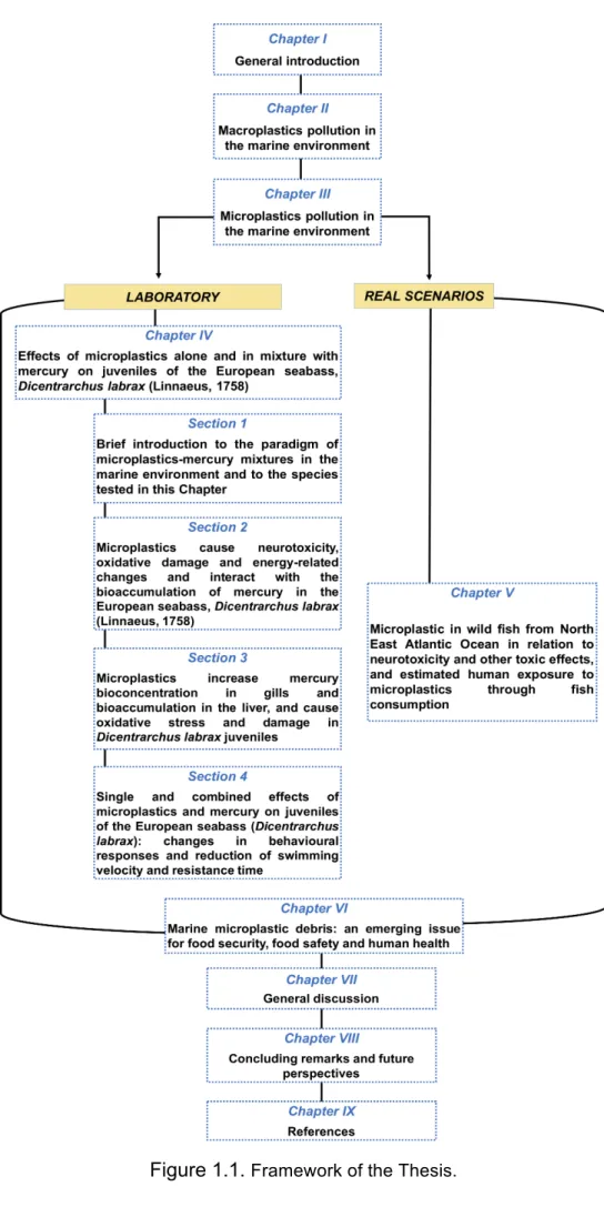Figure 1.1.  Framework of the Thesis.