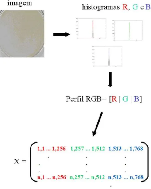 Figura 2S. Esquema de obtenção da matriz X