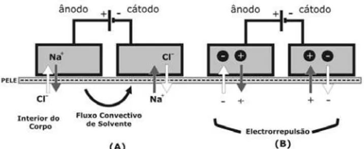Figura 3. Esquema do fluxo eletrosmótico (A) e do fluxo eletrorrepulsivo (B)