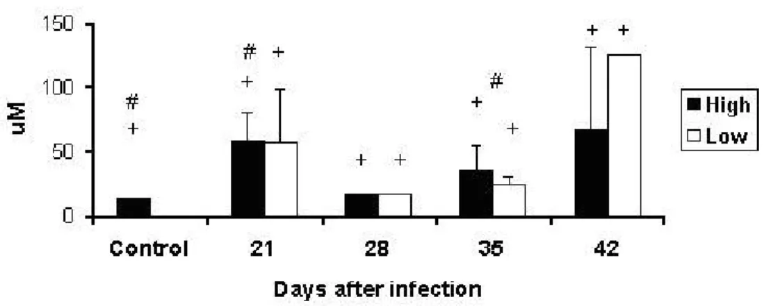Figure 6. Production of NO (μM) in supernatants from culture of peritoneal  macrophages of High and Low antibody producer (Selection IV-A) mice infected with  Mycobacterium bovis-AN 5  at different periods, compared with their respective  controls