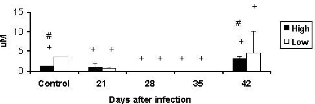 Figure 8. Production of NO (μM) in supernatants from culture of pulmonary  macrophages of High and Low antibody producer (Selection IV-A) mice infected with  Mycobacterium bovis-AN 5  at different periods, compared with their respective  controls