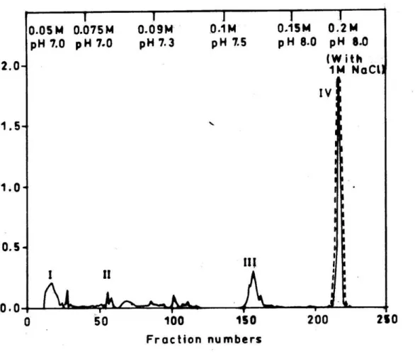 Figure 2. CM-Sephadex C-25 column chromatography of peak III from G-75 column  chromatography