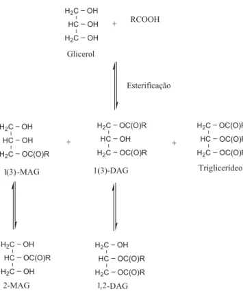 Figura 4. Possíveis produtos formados na esterificação do glicerol com ácidos  graxos (adaptada da ref