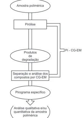 Figura 8. Fluxograma da análise por Pi-CG-EM de amostras poliméricas