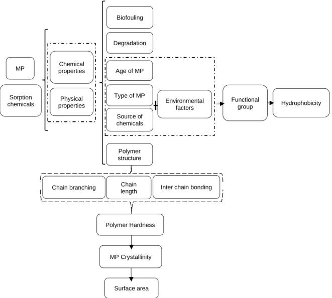 Figure 2-2: Factors affecting the sorption capacity of microplastics. 