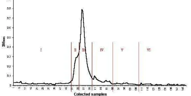 Figure 1. Molecular exclusion chromatogram of supernatant from RT2 strain culture  carried out in Sephadex S100 column eluted with 50mM amonium bicarbonate, pH  7.0, at 8ml/h flow rate, collected in 1ml/tube