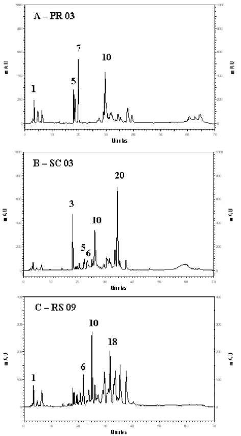 Figura 5S. Cromatogramas HPLC de extratos etanólicos de pólen apícola. (A) PR 03; (B) SC 03; (C) RS 09
