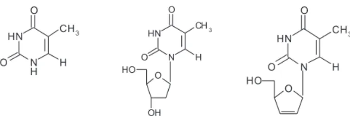 Figura 1. Estruturas químicas da timina, timidina e estavudina