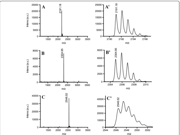 Fig. 2 Mass spectra (MALDI-TOF-MS) and expansions of the fractions corresponding to (A, A ’ ) ocellatin-LB1, (B, B ’ ) ocellatin-LB2 and (C, C ’ ) ocellatin-F1