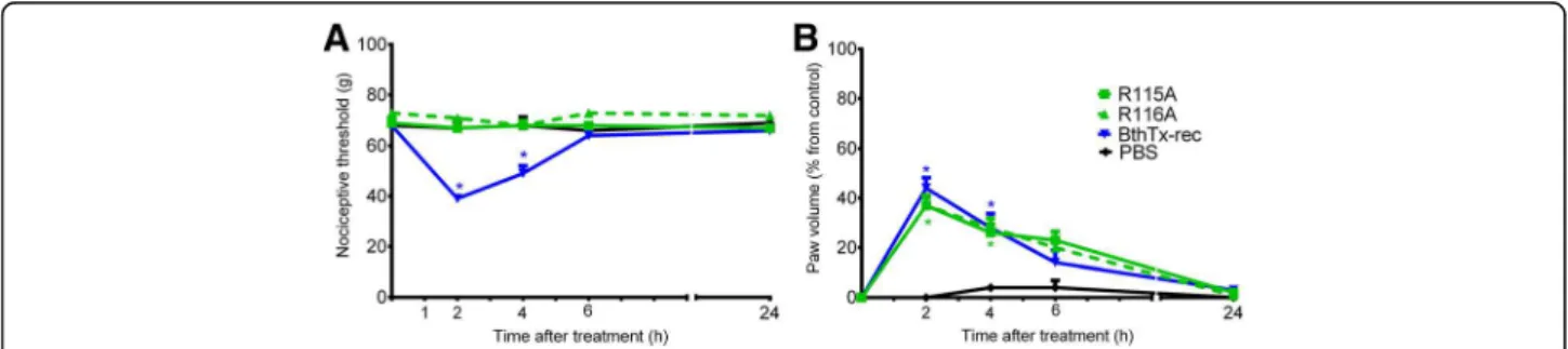 Fig. 2 Effect of BthTx-I R118A (Arg118 → Ala) mutagenesis on rat pain threshold and paw volume