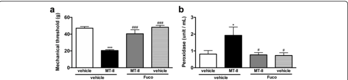 Fig. 3 Effect of a L-selectin binder on MT-II- induced articular hyperalgesia. MT-II (10 μg/joint) or PBS (vehicle) was injected in tibio-tarsal articulation (25 μL)
