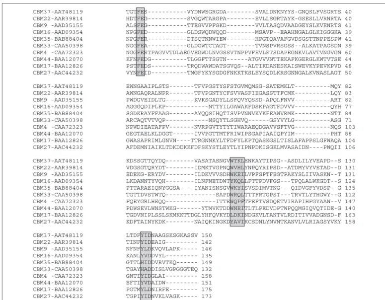 FIGURE 2. Alignment of CBM44 with CBMs from other related families.Sequences used in the alignment are labeled with the accession numbers indicating their respective CBM family