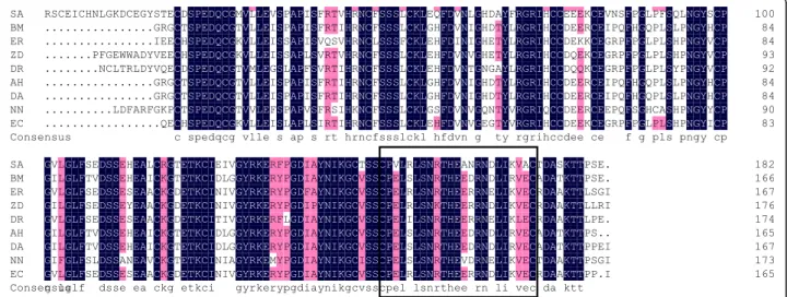 Fig. 6 Multiple alignment of PLIγ sequences from different snake species. SA: S. annularis; BM: B