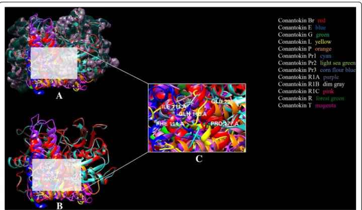 Fig. 5 a Conantokins in complex with the NMDAR (humans). b Active residues in the binding pocket highlighted (white) of the NMDAR with conantokin ligands