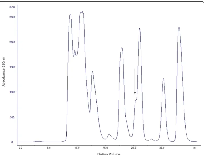 Fig. 1 Elution profile of 30 mg of B. g. rhinoceros venom on a Superdex 75 10/300 column