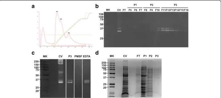 Fig. 5 The purification of serine protease from NnV. a Crude venom was dissolved in 10 mM Tris-HCl (pH 7.8) buffer and centrifuged for 30 min at 13000 × g