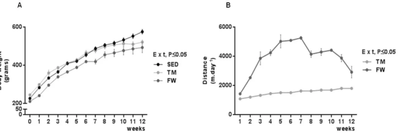 Figure  1.  Effect  of  physical  activity  on  body  mass  alterations  over  time  (A)  and  distance  run  per  day  by  treadmill  and  free  wheel  groups  during  the  12  wks  of  protocol  (B)
