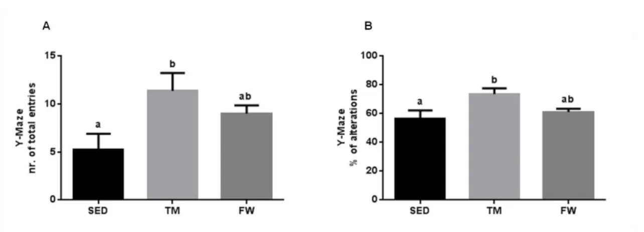 Figure 2. Effect of exercise on Y-maze behavior, number of total entries (A) and 