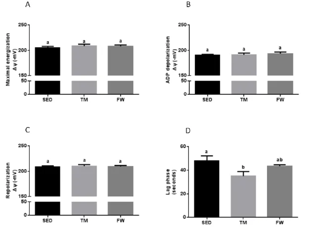 Figure  5.  Effect  of  exercise  on  brain  mitochondria  ∆ψ  fluctuations  (maximal  energization,  ADP-induced  depolarization,  and  repolarization)  and  ADP  phosphorylation lag phase