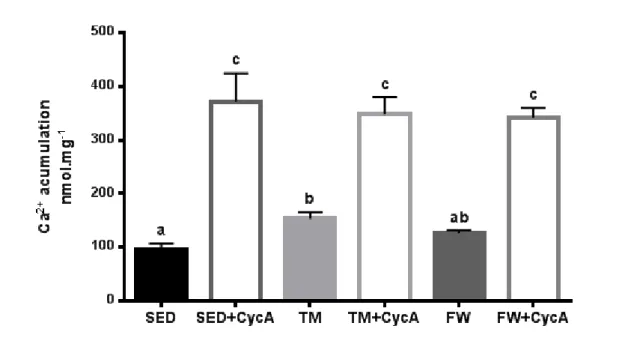 Figure  6.  Effects  of  chronic  physical  activity  on  brain  mitochondria  calcium- calcium-induced  membrane  depolarization