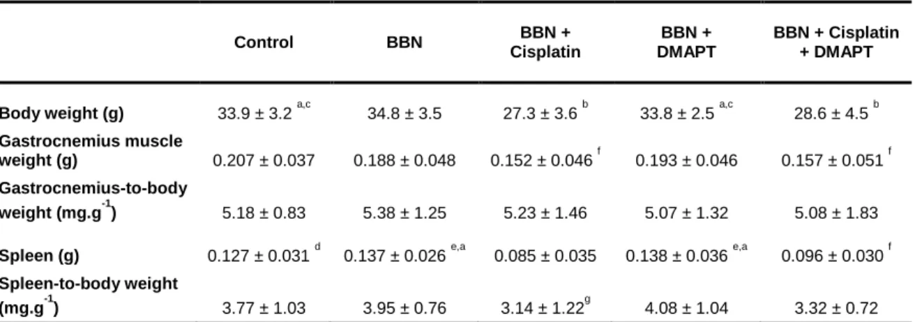 Table  2.  The  effect  of  cisplatin  or  DMAPT  or  the  combination  of  cisplatin  plus  DMAPT  on  body  weight,  gastrocnemius muscle weight, spleen weight and the ratios gastrocnemius-to-body weight and spleen-to-body  weight