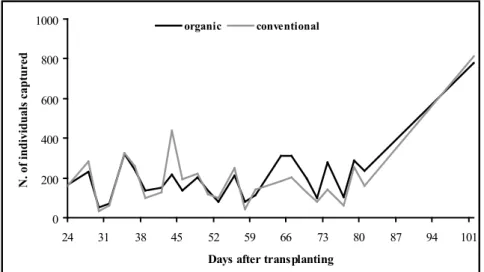 Table  1. Mean  number  of  SATP  eggs  per  plot  sampled  in  tomato  crop  with  three  levels  of plant diversification in the organic system (1-tomato, 2-tomato-coriander,  3-tomato-coriander-Gallant  soldier)  and  the  conventional  system  (4-tomat