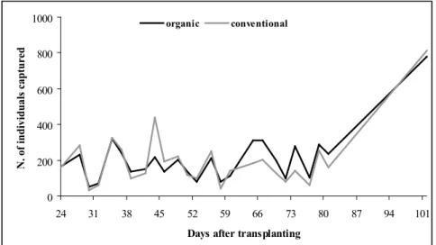 Table  1. Mean  number  of  SATP  eggs  per  plot  sampled  in  tomato  crop  with  three  levels  of plant diversification in the organic system (1-tomato, 2-tomato-coriander,  3-tomato-coriander-Gallant  soldier)  and  the  conventional  system  (4-tomat