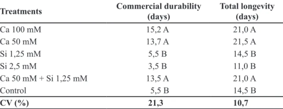 Table 2. Commercial durability and total longevity of Pink Ginger stems kept in different  vase solutions, containing calcium sulphate and/or sodium silicate (durabilidade comercial  e  longevidade  total  de  hastes  de  alpínia  mantidas  em  diferentes 