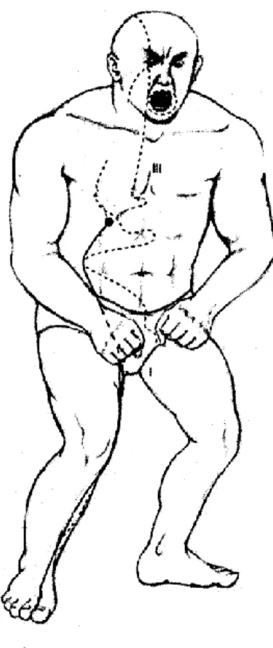 Figure  7  -  Hepatic  orb,  the  emotional  expression  is  referred  to  as  ira  (Greten,  2010)  Chinese  Medicine understands this state as a consequence of regulation of vegetative functions